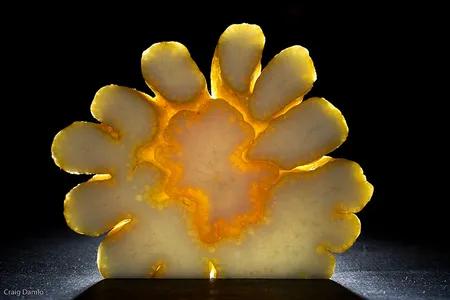 Buddha's hand sliced where all the fingers are splitting off the main fruit.