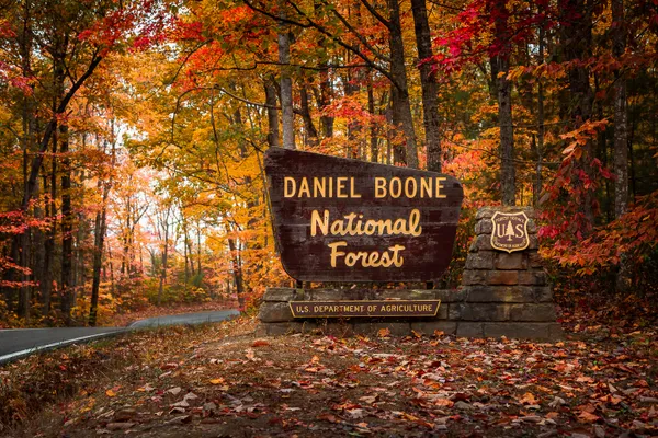 Daniel Boone National Forest thumbnail