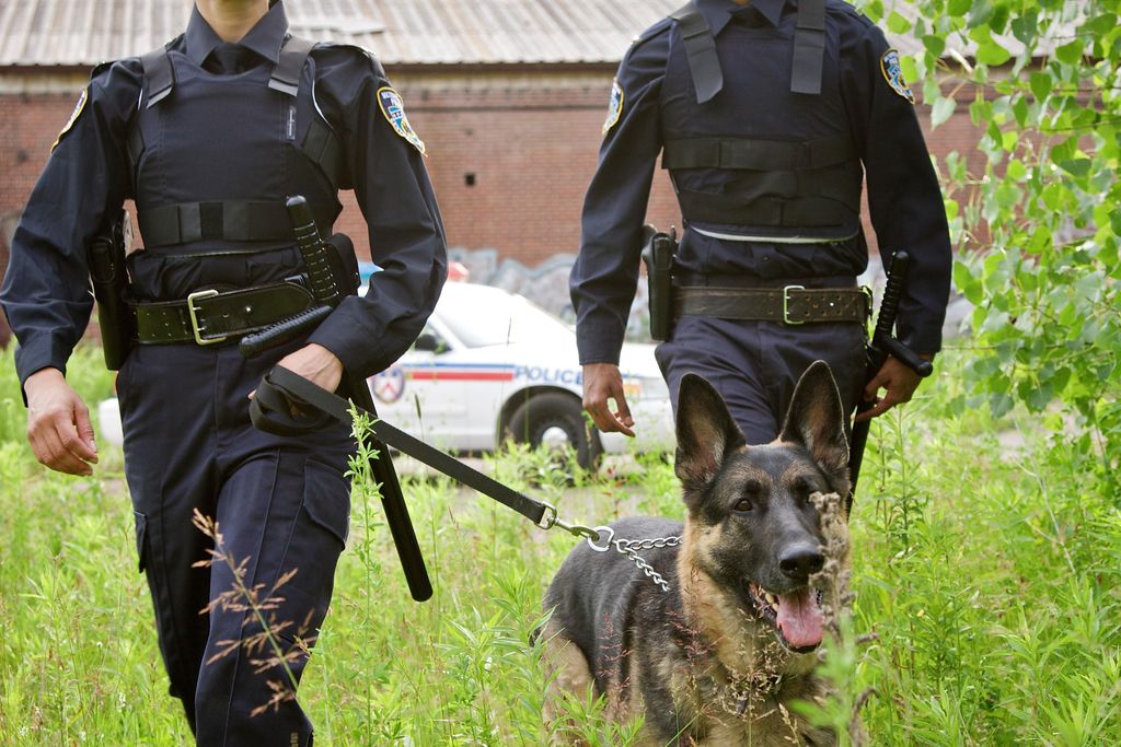 police with dog