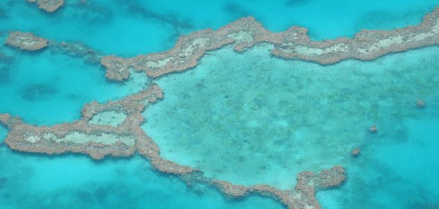 The Great Barrier Reef