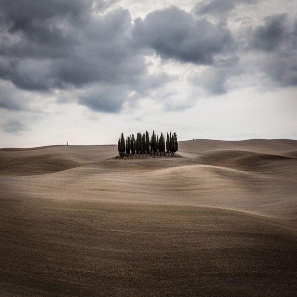 The awakening of the cypresses in Tuscany thumbnail