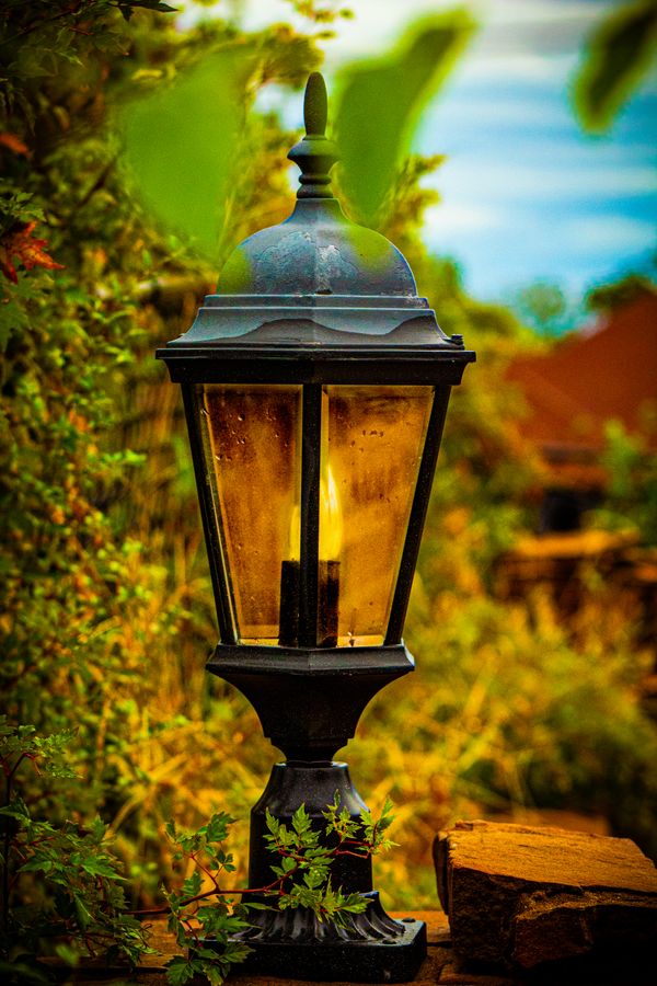 Garden Light thumbnail