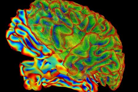 Scientists are sharpening their focus on ways to revive a memory gone awry.