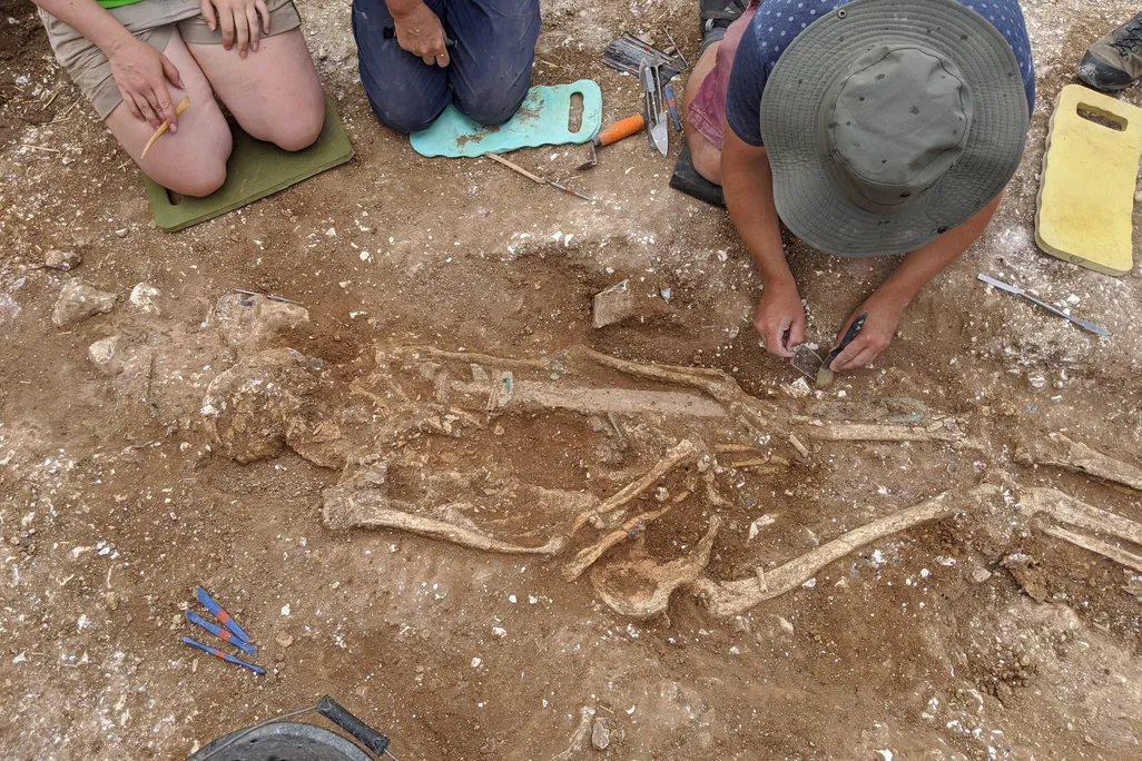 Three people kneel and bend to look at the grave; one person wearing a hat appears to be delicately touching or removing part of the skeleton