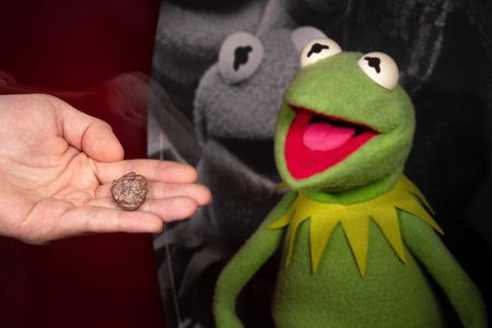 Kermit Smithsonian close up_TMS Edit copy.jpg