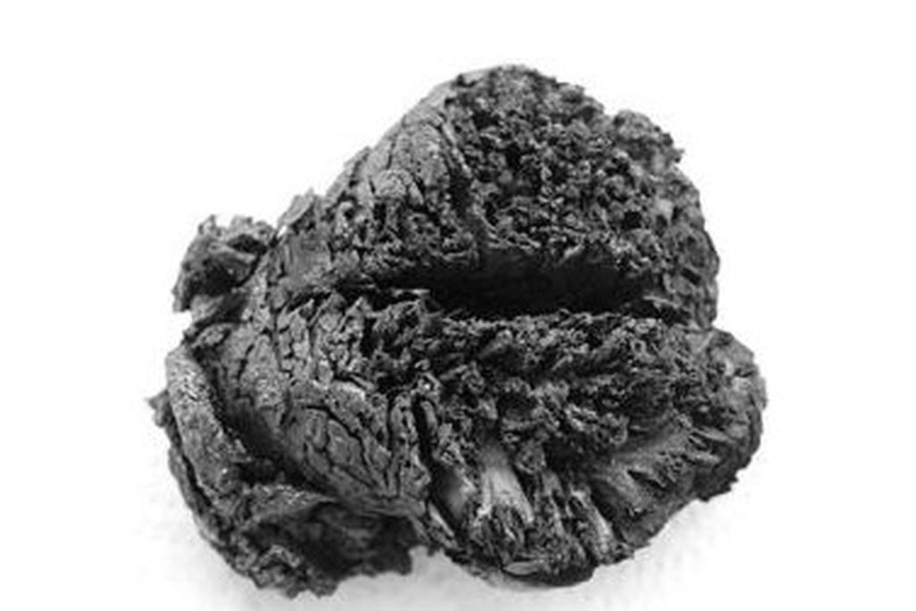 The ancient brain, preserved by flame