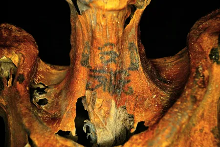 More than 30 tattoos are scattered across this female mummy's skin.