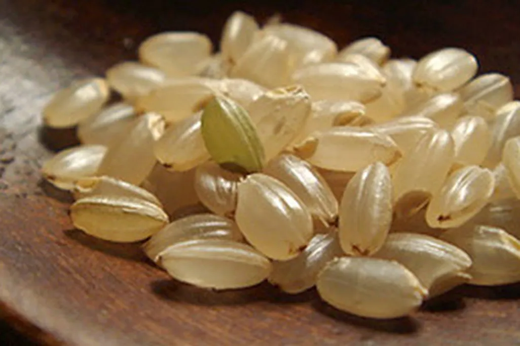 Brown rice