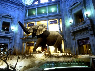 The Natural History Museum is open today