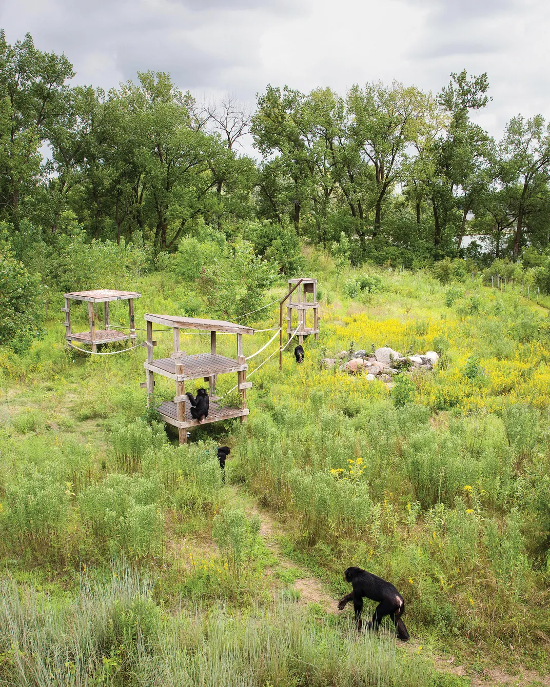 Climbing structures at Iowa facility 