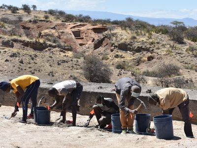 Archaeologists and Masai landowners conducted excavations at Engaji Nanyori in Tanzania.