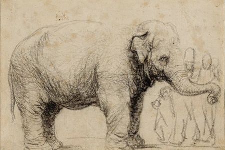 Rembrandt created this sketch of Hansken, an Asian elephant brought to Europe from Sri Lanka, in 1637.