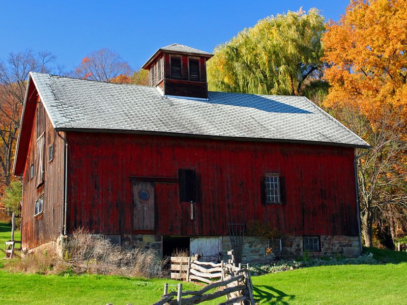 An Old Barn in the Southern Tier of Upstate NY | Smithsonian Photo ...