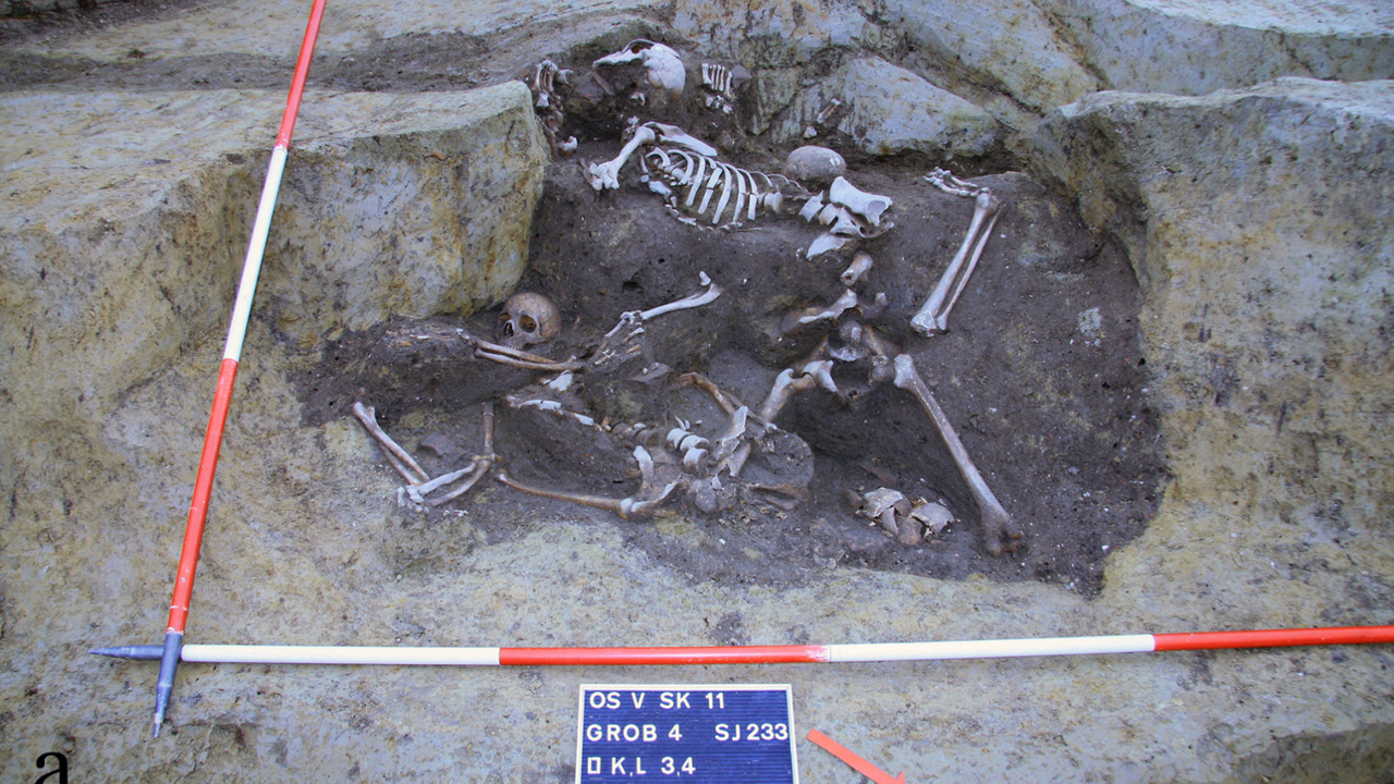 Seven Skeletons Found in a Croatian Well Were Likely Ancient Roman Soldiers  Who Died During a Troubled Time for the Empire