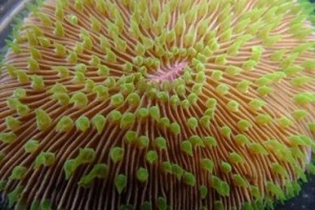 20110520110618image004-300x224.jpg