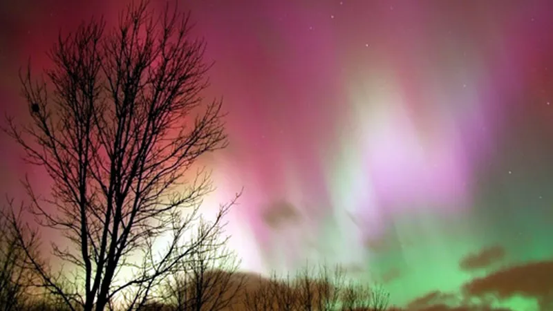 Moonrise Over Northern Lights -- a brilliant aurora shines above a nearly  full moon during a chilly winter night on Alaska's north slope, Smithsonian Photo Contest