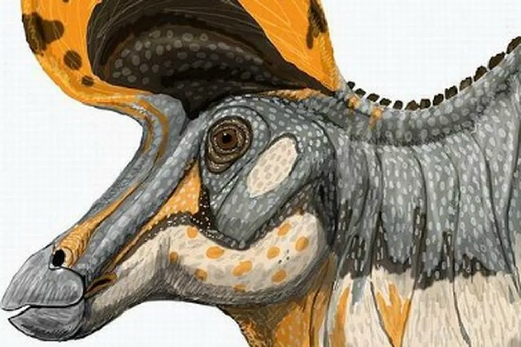 Lambeosaurus magnicristatus