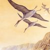 How Pterosaurs Might Inform the Next Generation of Flight icon
