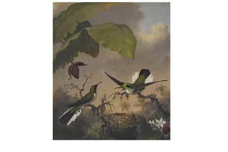 Martin Johnson Heade, Black-eared Fairy, ca. 1863-1864, oil on canvas, 12 1/4 x 10 in. Crystal Bridges Museum of American Art, Bentonville, Arkansas, 2006.89. Photography by Dwight Primiano.