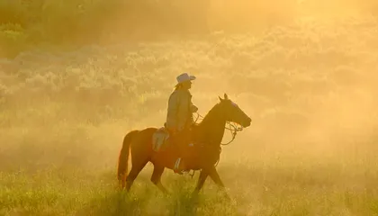 See 15 Photos of Real-Life Cowboys and Cowgirls Wrangling Cattle and Riding Bucking Broncos