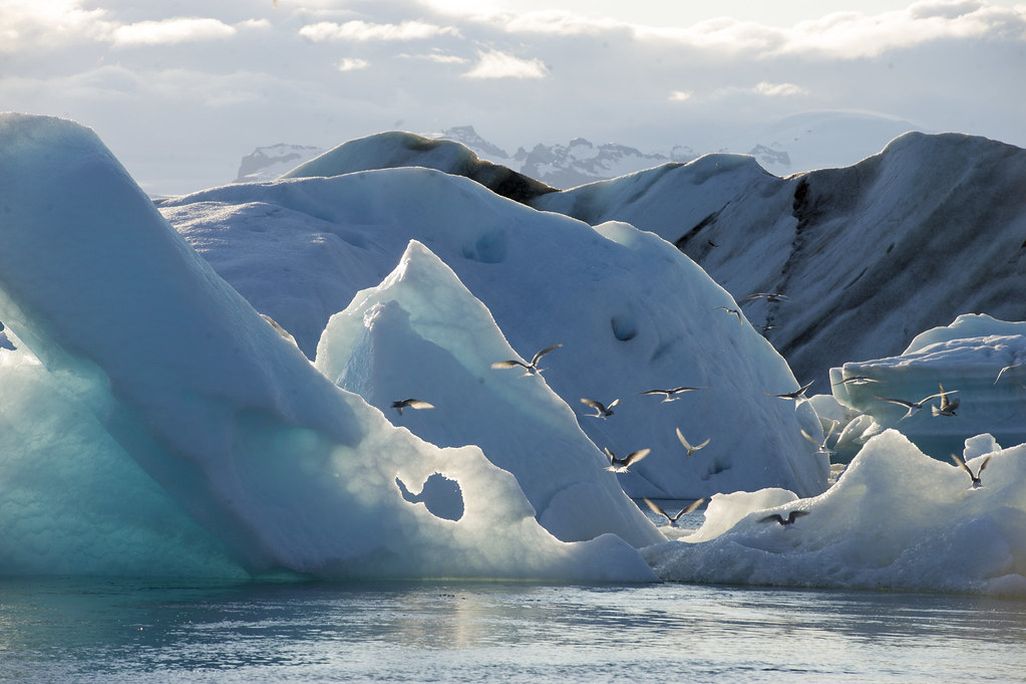 Jökulsárlón glacial lagoon