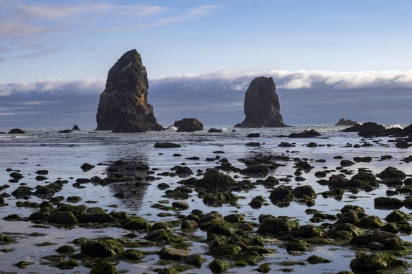 Oregon Coastline thumbnail