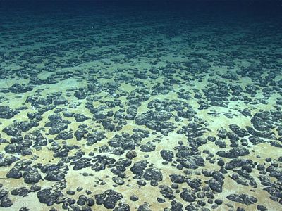Parts of the deep Pacific Ocean are covered in metallic lumps known as polymetallic nodules. A study published last year suggested they produce oxygen without sunlight.