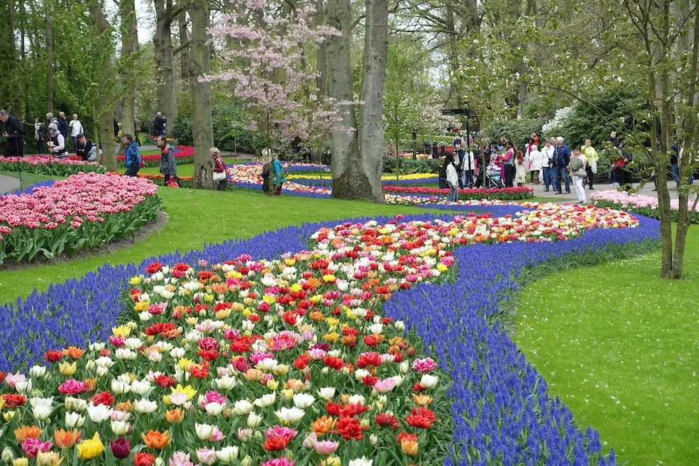 Keukenhof