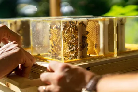 Italian company Beeing’s B-Box is small enough to keep on even a modest urban balcony.