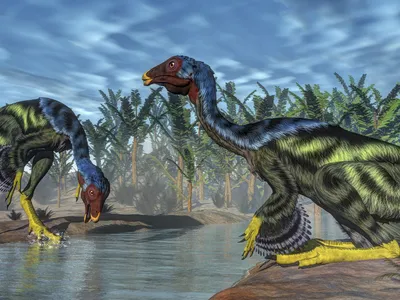 Scientists Build a Robot Dinosaur to Probe the Mystery of Tiny Wings image