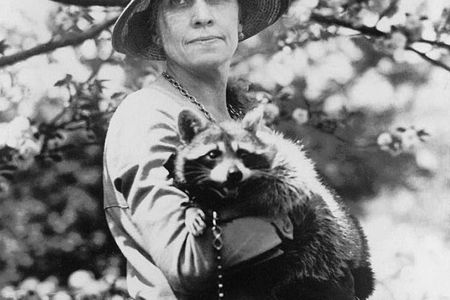 First Lady Grace Coolidge and Rebecca, the raccoon she and her family kept as a pet