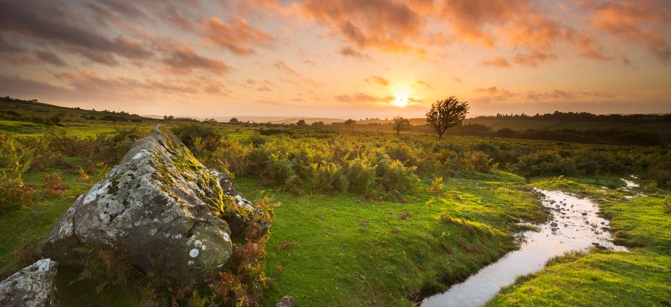  Landscape of Dartmoor 