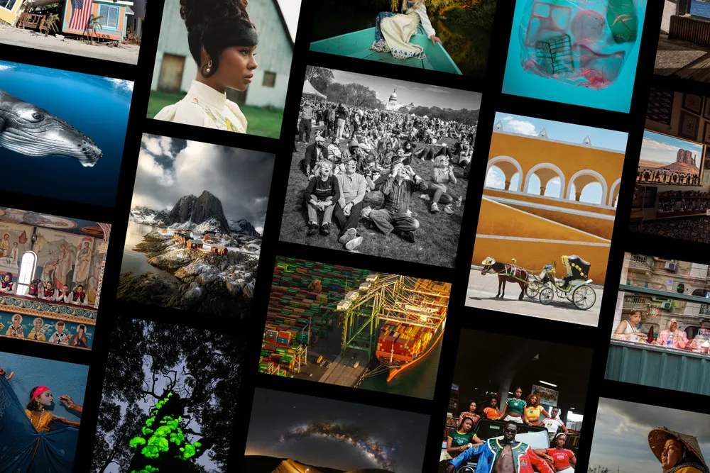 Photo contest finalists