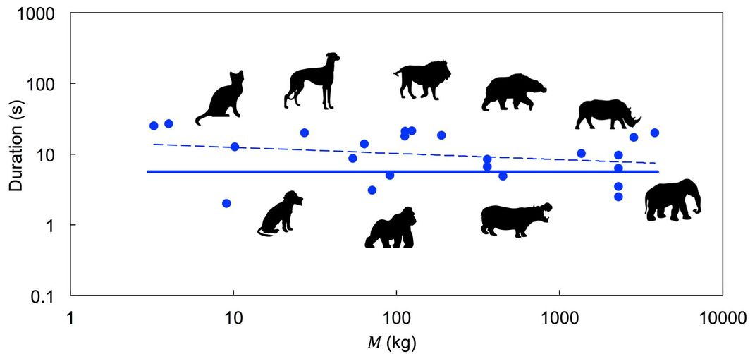 The relationship between body mass M and defecation time