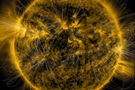 An illustration of the sun's magnetic fields overlaid on an image of the sun captured by NASA's Solar Dynamics Observatory in 2016.