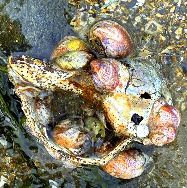 AFTER ERIN thumbnail