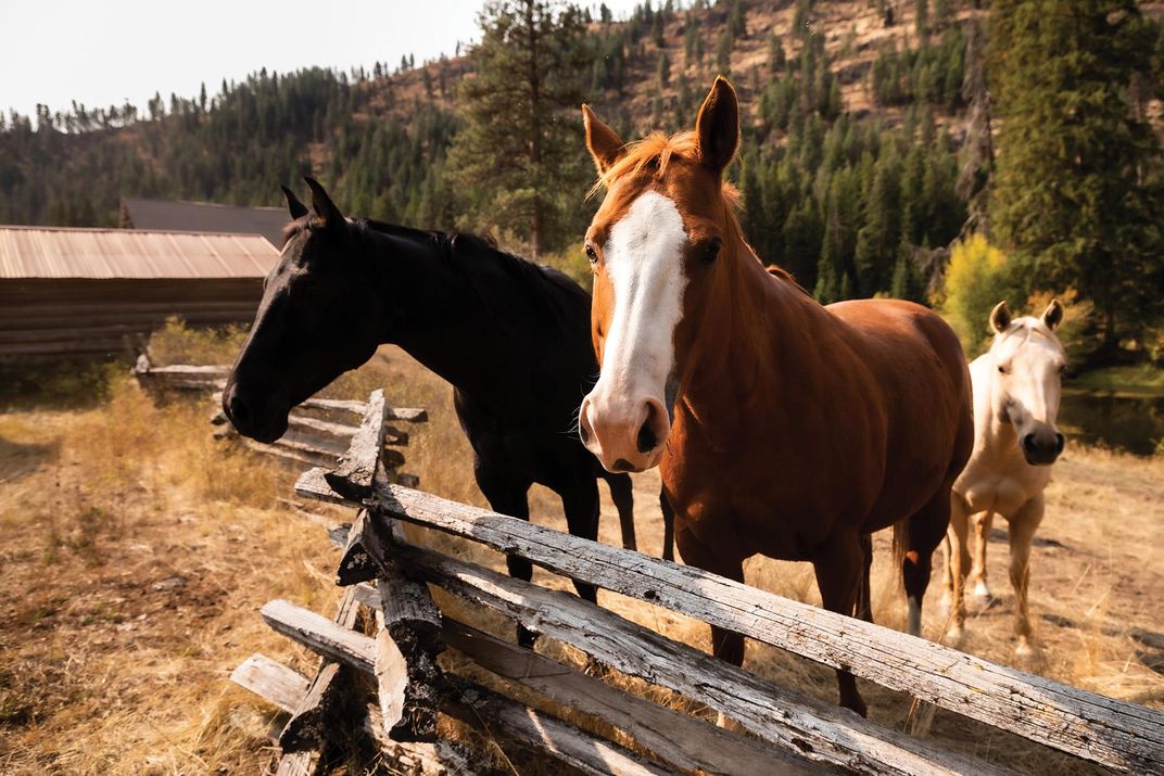 Red’s Ranch