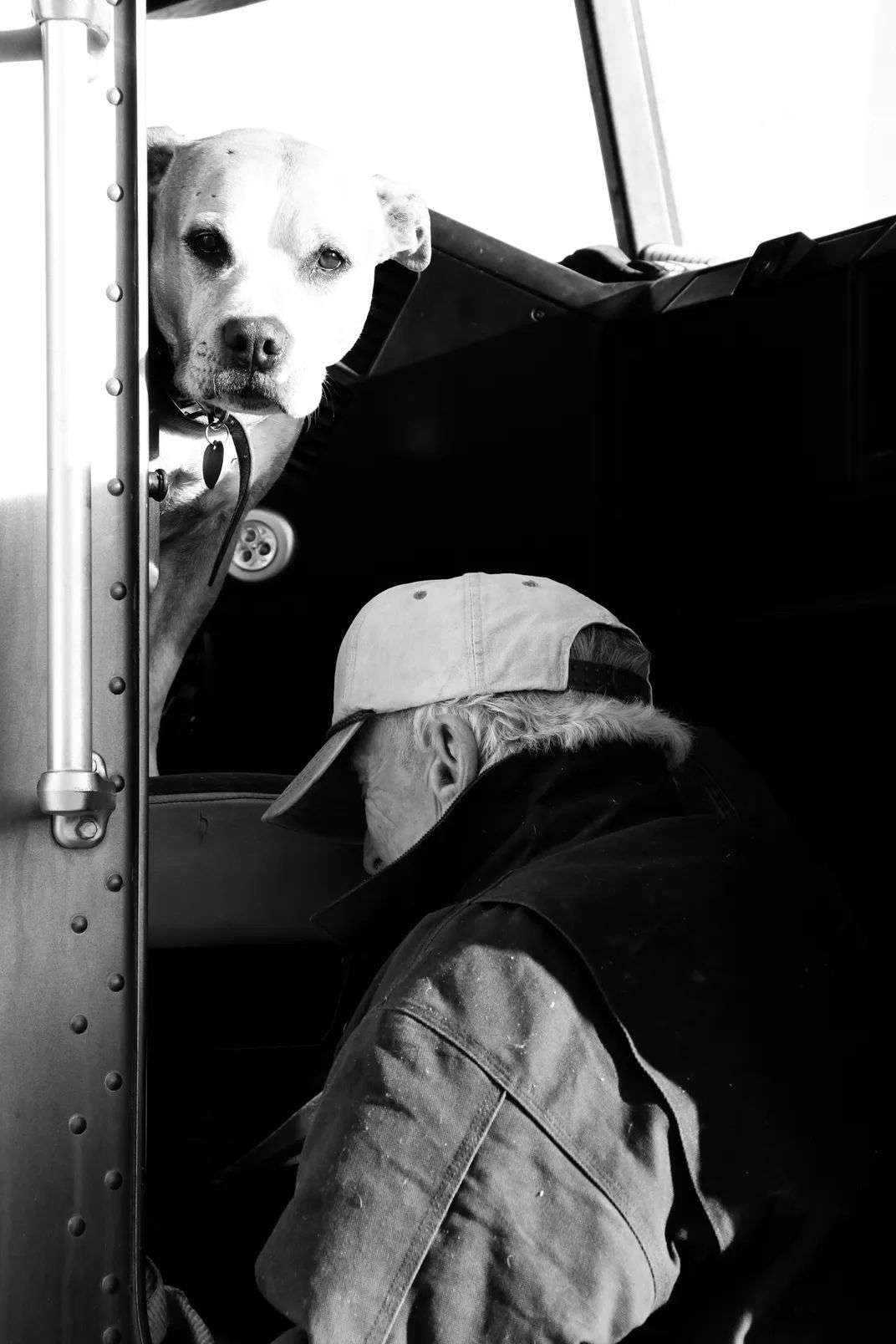 6 - It was “bring your pet to work” day for this truck driver, who stopped at a gas station along the highway to check on his pet after a night on the road.