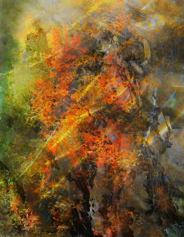 The base layer photo is of seaweed along the central Oregon Coast thumbnail