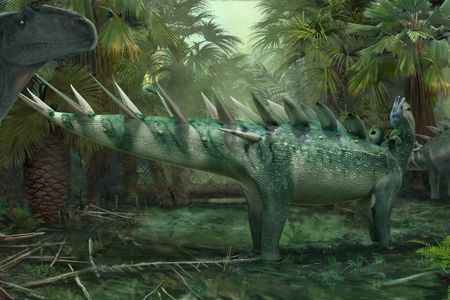 Kentrosaurus readies itself for an attack by an Allosaurus