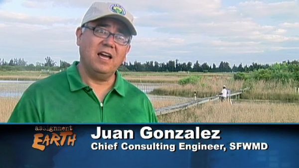 Preview thumbnail for Florida Everglades: Restoring the Wetlands