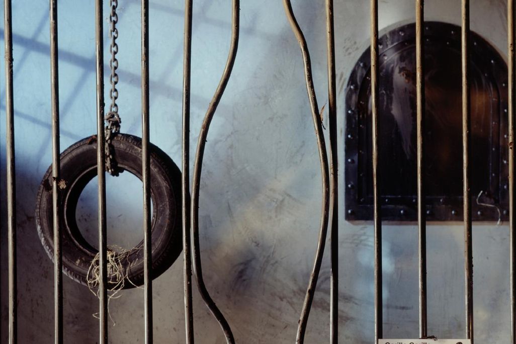 Zoo Escape