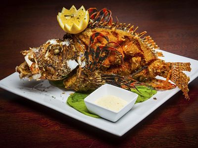 One of Chef Bun Lai's recipes: A dish that features whole fried invasive lionfish at Fish Fish of Miami, Florida.