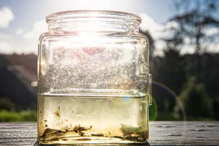 Every cupful of pond water is swirling with DNA sequences. Now, scientists are putting them to work to solve stubborn conservation mysteries.