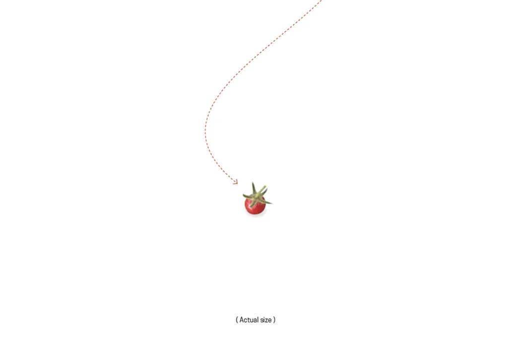 Pimp Tomato Graphic