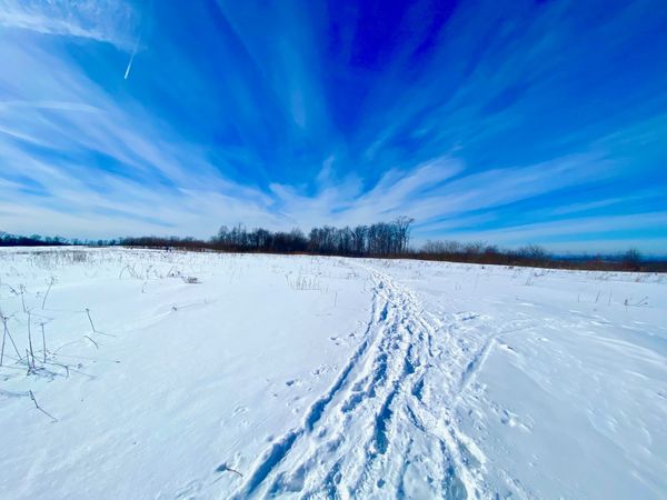 A beautiful day while cross country skiing West Virginia thumbnail