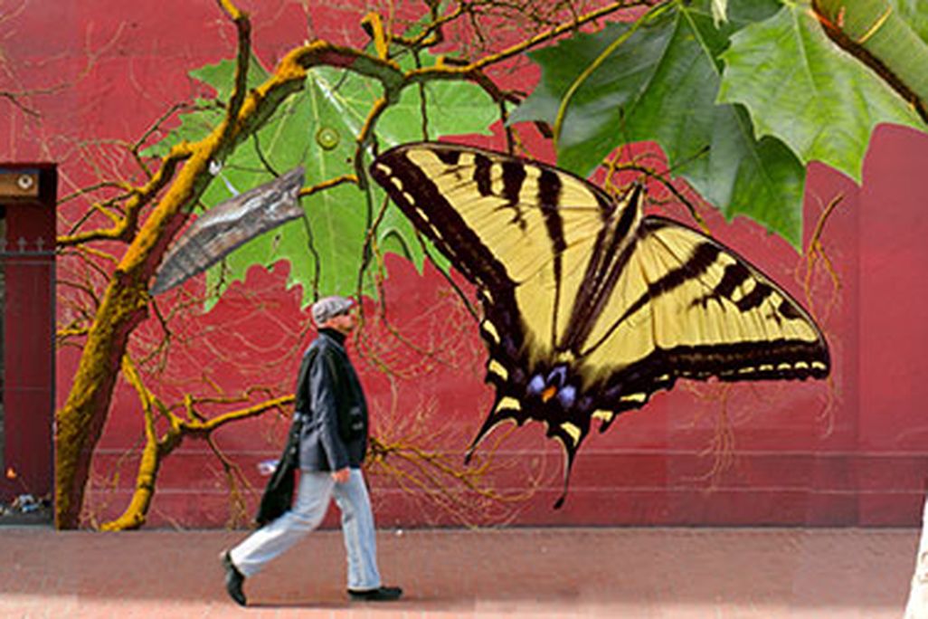 Red Mural, by Amber Hasselbring