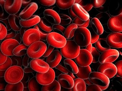 Donated blood must be matched carefully with donors to prevent a negative immune reaction--but new research may make it possible to create more universal blood.