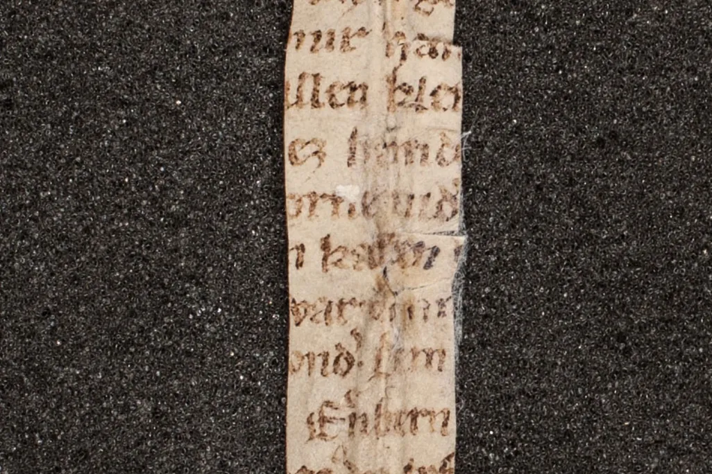 Vulva Poem Fragment