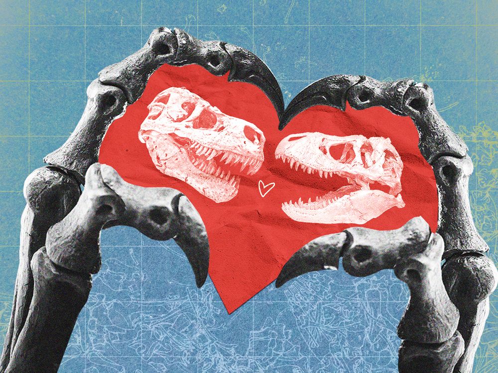 Dinosaurs in love